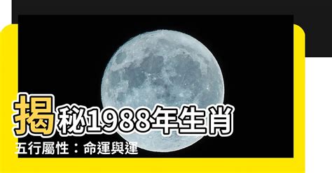 1988 屬什麼|1988年屬相 1988年屬什麼生肖